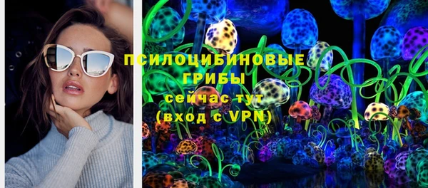 гидра Горно-Алтайск