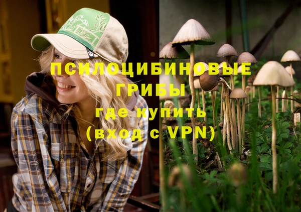скорость mdpv Горнозаводск