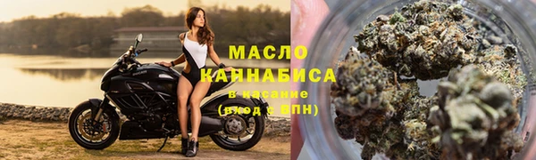 шишки Вяземский